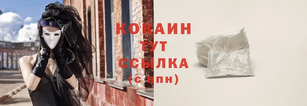сатива Абинск
