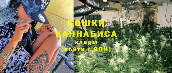 PSILOCYBIN Абаза
