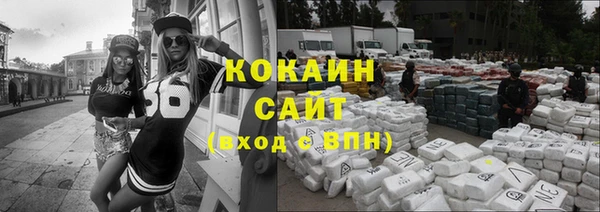 сатива Абинск