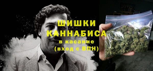 сатива Абинск